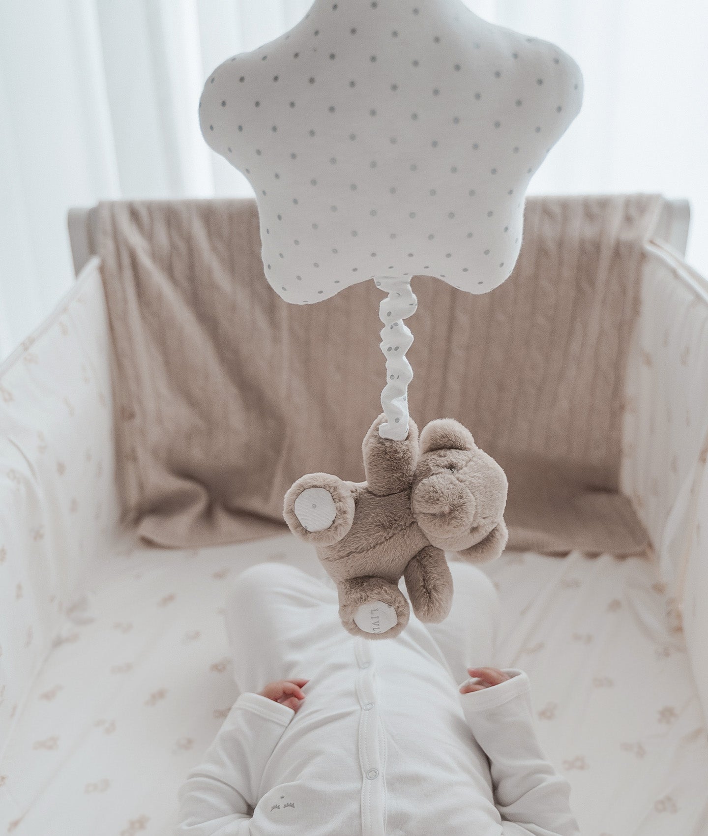 Teddy Tay Musical Toy