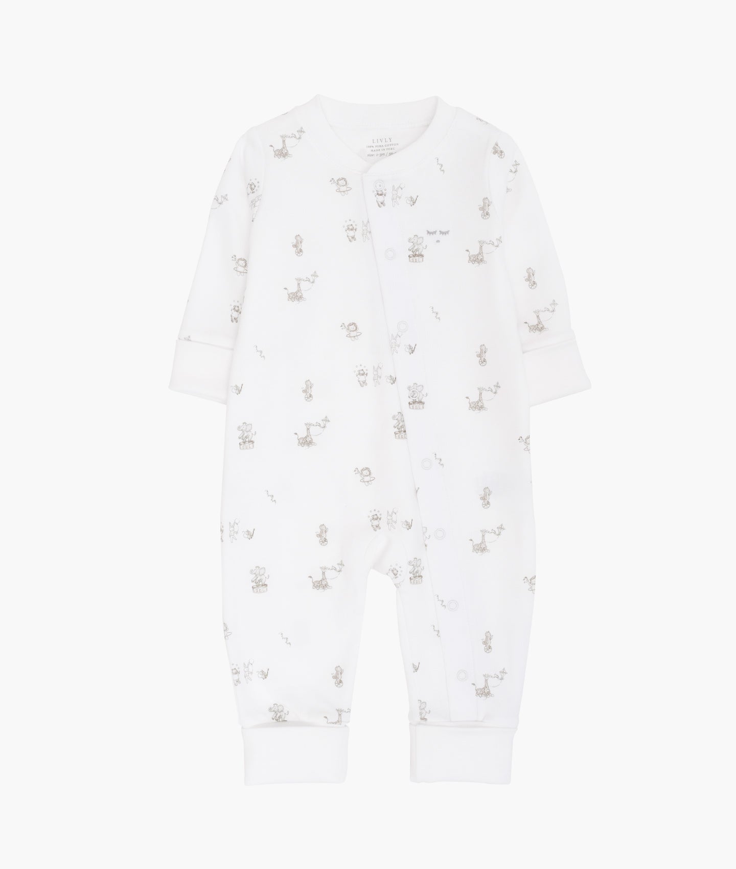 Celebration Parade Overall