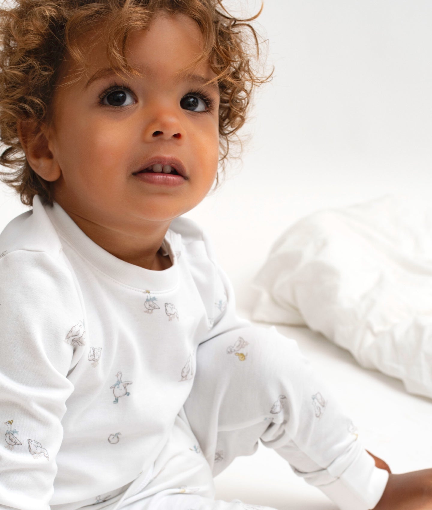 Juego de 2 piezas Geese