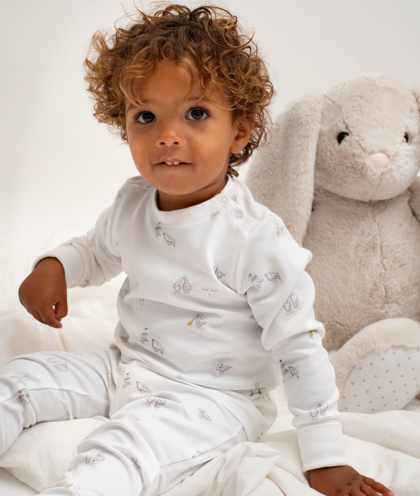 Geese 2 Piece Set