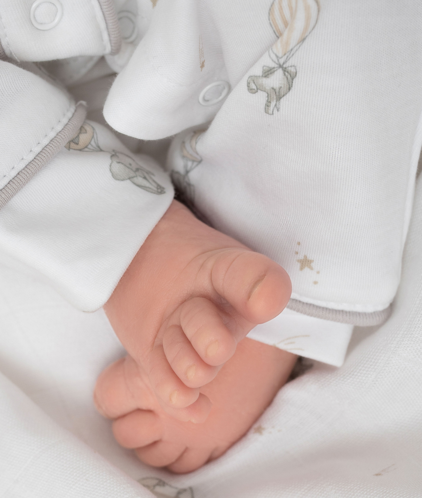 „Latające słonie” – Greg Overall (w przedsprzedaży)