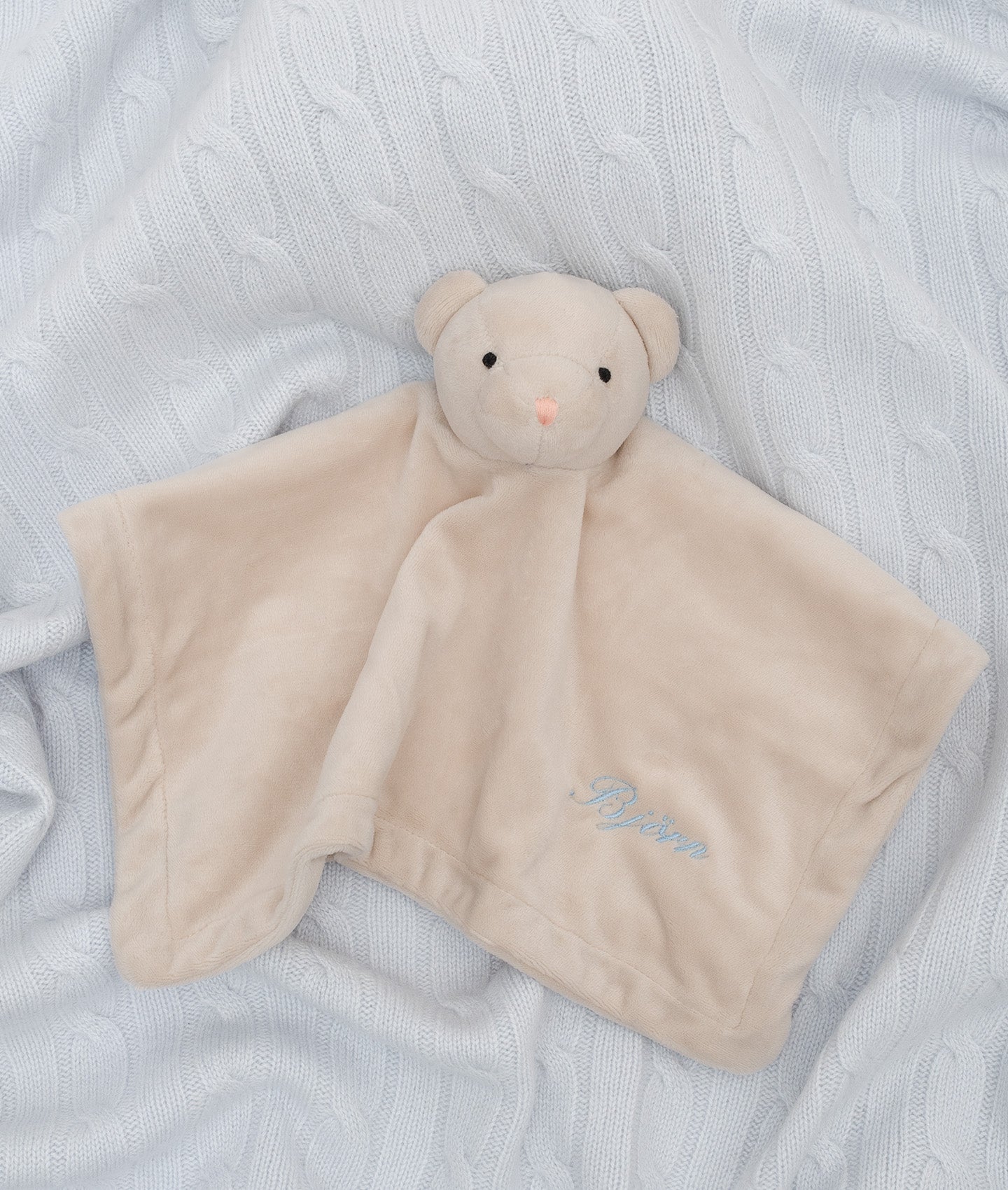 Cuddle Buddy Teddy Tay